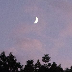 Meet your Posher, Kristine